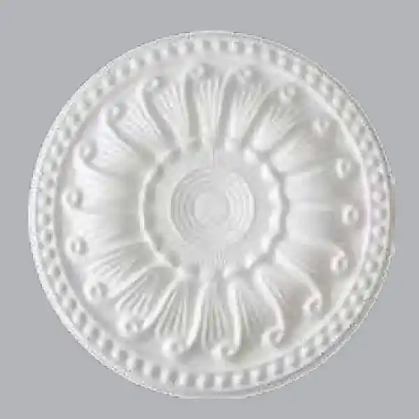 GÖBEK SALYANGOZ BÜYÜK